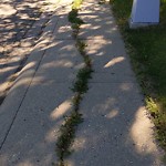 Obstruction - Public Road/Walkway at 11716 35 A Avenue NW