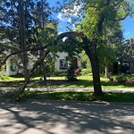Tree/Branch Damage - Public Property at 10223 125 Street NW