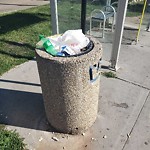 Overflowing Garbage Cans at 8118 118 Avenue NW