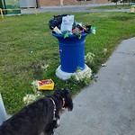 Overflowing Garbage Cans at 2019 Leger Road NW