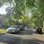 Overgrown Trees - Public Property at 11252 125 Street NW