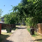 Overgrown Trees - Public Property at 11723 26 Avenue NW