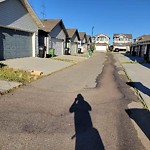 Street Sweeping at 2824 17 Ave Nw, Edmonton, Ab T6 T 0 K2, Canada