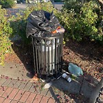 Overflowing Garbage Cans at 8804 92 Street NW