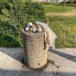 Overflowing Garbage Cans at 9904 104 Avenue NW