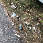 Litter Public Property at 8112 111 Avenue NW