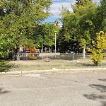 Pests/Sick trees - Public Property at 15450 105 Avenue NW