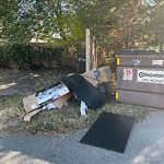 Overflowing Garbage Cans at 3312 105 Avenue NW