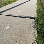 Sidewalk Concern at 11016 10 Avenue NW