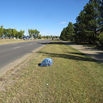 Litter Public Property at 137 Ave NE