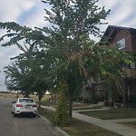 Tree/Branch Damage - Public Property at 1005 C Graydon Hill Boulevard SW
