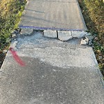 Sidewalk Concern at 403 Mcconachie Way NW
