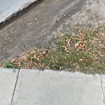 Sidewalk Concern at 1025 Chappelle Boulevard SW