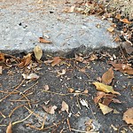 Sidewalk Concern at 10711 38 Street NW