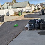 Overflowing Garbage Cans at 5930 S Terwillegar Blvd NW