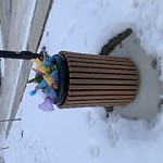 Overflowing Garbage Cans at 7407 Chivers Cres Sw, Edmonton T6 W 1 A6