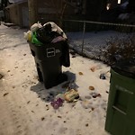 Overflowing Garbage Cans at 7830 115 Street NW