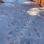 Winter Sidewalk Concern at 12620 70 Street NW