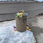 Overflowing Garbage Cans at 5932 165 Avenue NW