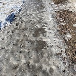 Winter Sidewalk Concern at 10725 132 Street NW