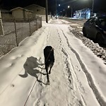 Winter Sidewalk Concern at 9005 115 Avenue NW