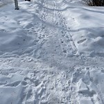 Winter Sidewalk Concern at 12326 102 Street NW