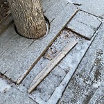 Winter Sidewalk Concern at 9635 B Jasper Avenue NW