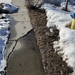 Winter Sidewalk Concern at 2026 Armitage Green SW