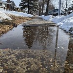 Winter Sidewalk Concern at 3638 105 Avenue NW