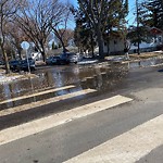 Pooling water due to Depression on Road at 10447 84 Street NW