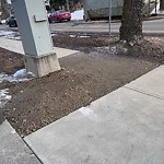 Road Maintenance at 10849 80 Avenue NW