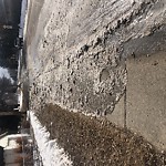 Winter Sidewalk Concern at 11901 41 St NW