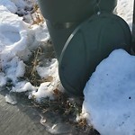 Overflowing Garbage Cans at 3465 Keswick Boulevard SW