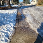 Winter Sidewalk Concern at 3115 112 Avenue NW