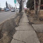 Winter Sidewalk Concern at N53.56 E113.51