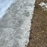 Winter Sidewalk Concern at 14816 62 Street NW