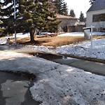 Winter Sidewalk Concern at 11651 111 A Avenue NW