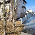 Winter Sidewalk Concern at 17955 85 Street NW