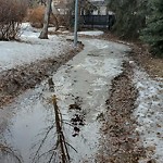 Winter Sidewalk Concern at 253 Greenoch Crescent NW