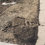 Winter Sidewalk Concern at 884 Millbourne Road East NW