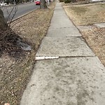 Winter Sidewalk Concern at 13702 102 Avenue NW