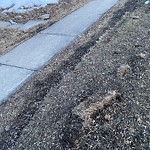 Winter Sidewalk Concern at 13228 83 St Nw, Edmonton T5 E 2 W7