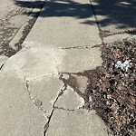 Winter Sidewalk Concern at 10633 31 Avenue NW