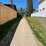 Shared Use Path at 5303 151 Street NW