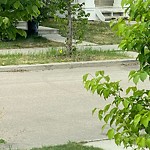 Street Sweeping at 21326 94 A Avenue NW