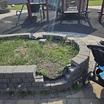 Structure/Playground Maintenance at 11039 134 Avenue NW