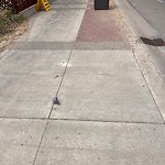 Sidewalk Concern at 11603 105 Avenue NW