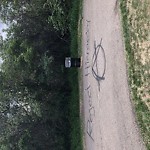 Graffiti Public Property at Edmonton
