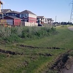 Shared Use Path at 4059 Orchards Dr SW