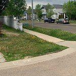 Noxious Weeds - Public Property at 13839 150 Avenue NW